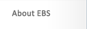 About EBS