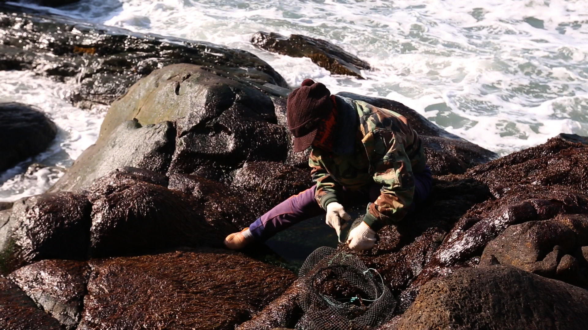 EBS 방송 | 편성표 | 전 국민의 평생학교 EBS