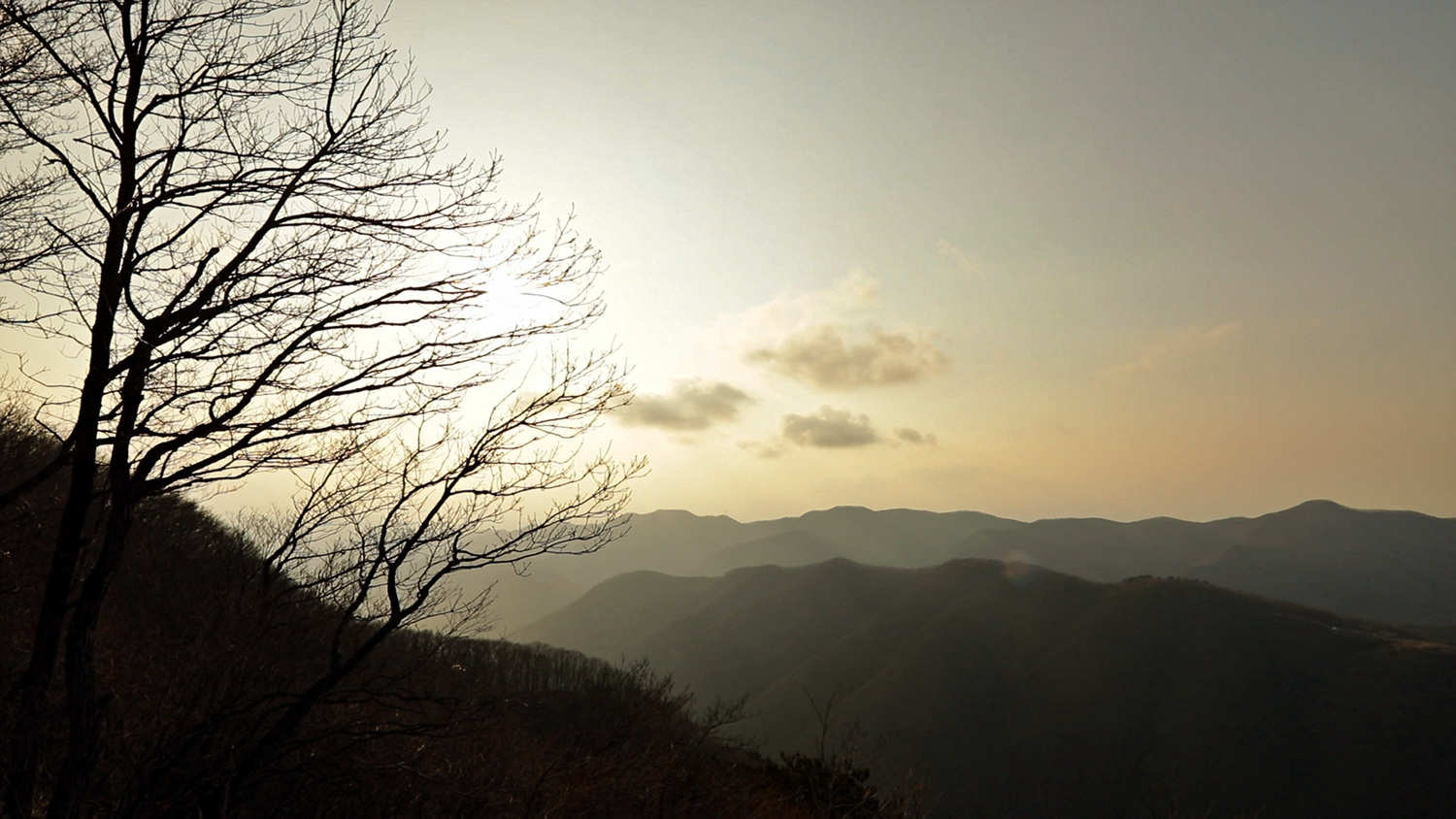 EBS 방송 | 편성표 | 전 국민의 평생학교 EBS