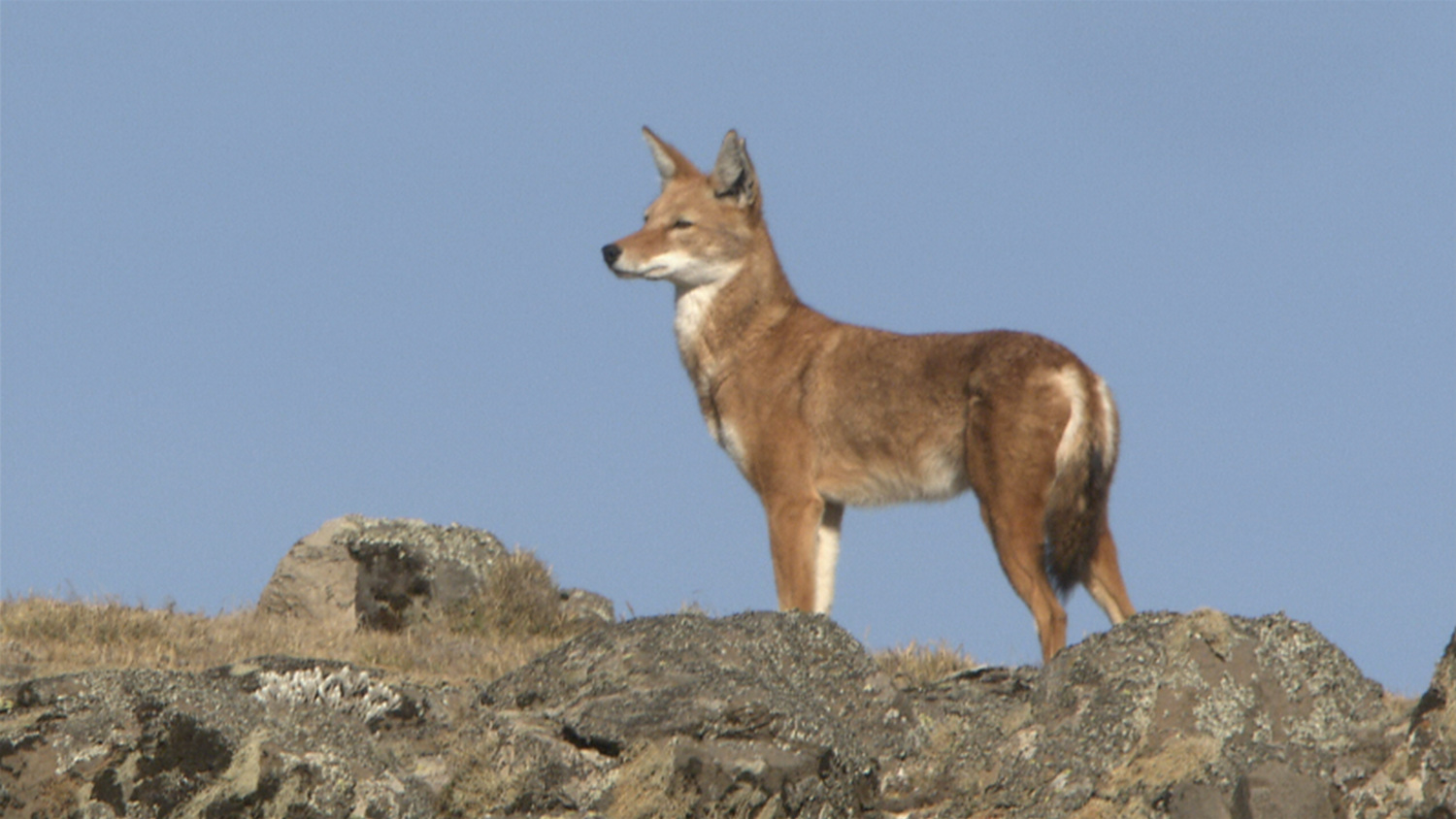 오늘의 TV | 온에어 | 전 국민의 평생학교 EBS