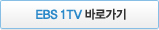 지상파TV 바로가기