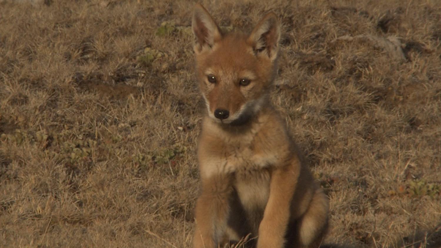 오늘의 TV | 온에어 | 전 국민의 평생학교 EBS