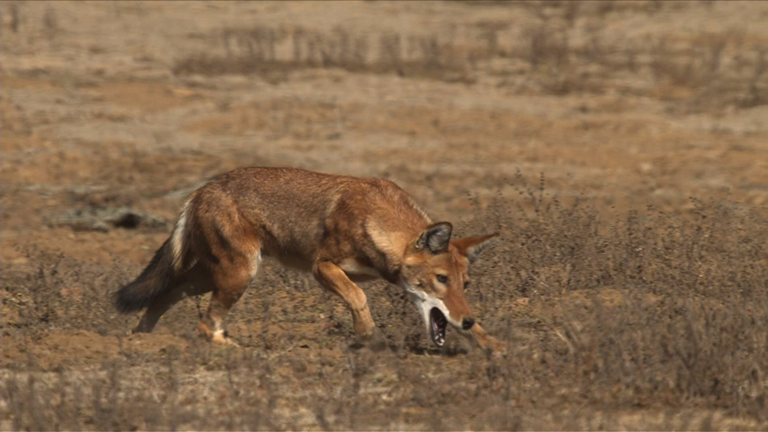오늘의 TV | 온에어 | 전 국민의 평생학교 EBS