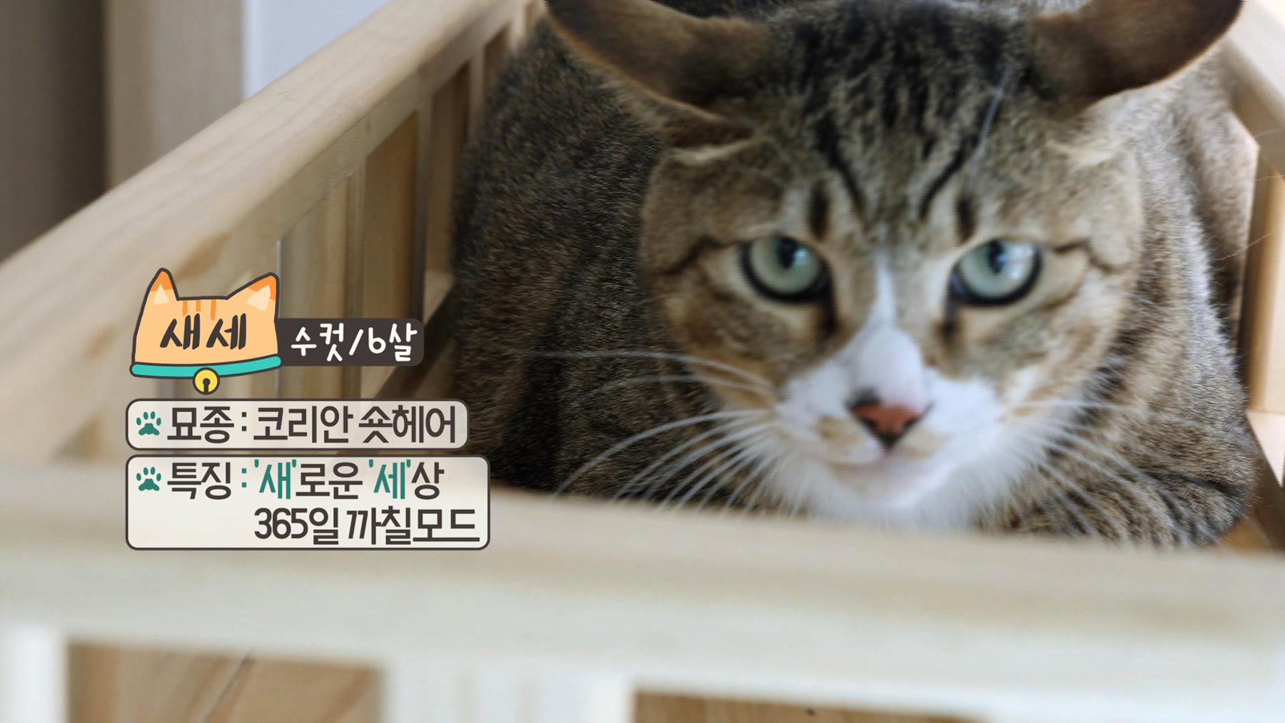 오늘의 TV | 온에어 | 전 국민의 평생학교 EBS 메디컬 다큐-7요일 [정순 씨의 잃어버린 희망 찾기 외]