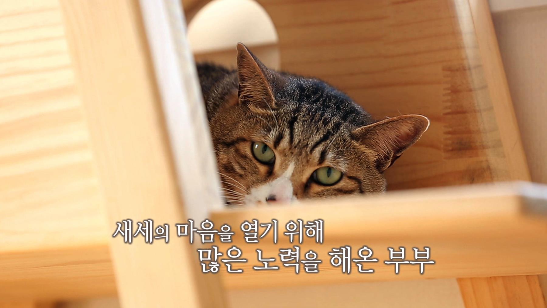 오늘의 TV | 온에어 | 전 국민의 평생학교 EBS 메디컬 다큐-7요일 [정순 씨의 잃어버린 희망 찾기 외]