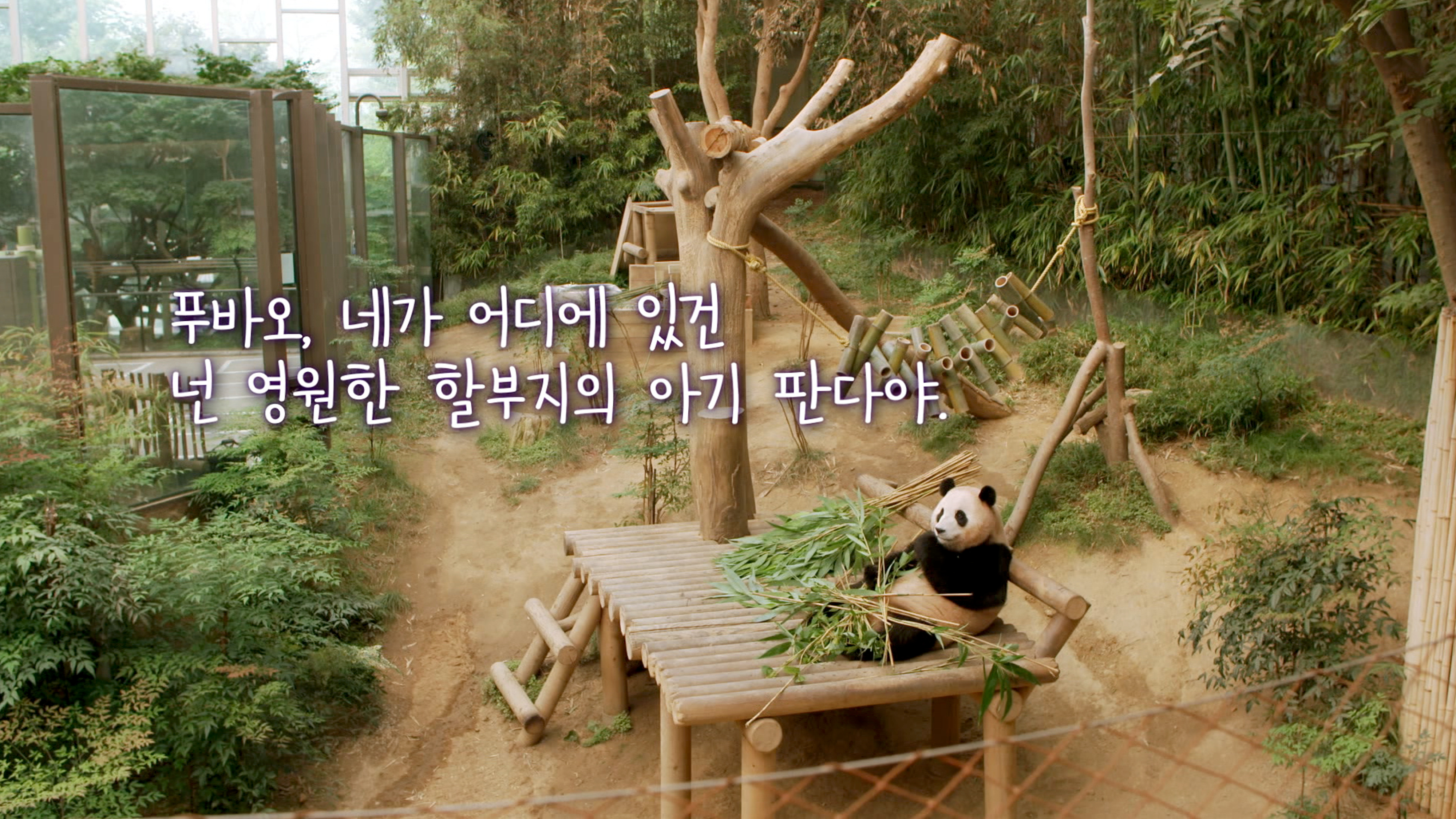 오늘의 TV | 온에어 | 전 국민의 평생학교 EBS 세계테마기행 [중국고사유랑(遊浪)1 4부. 다시 장안이 화제다! ]