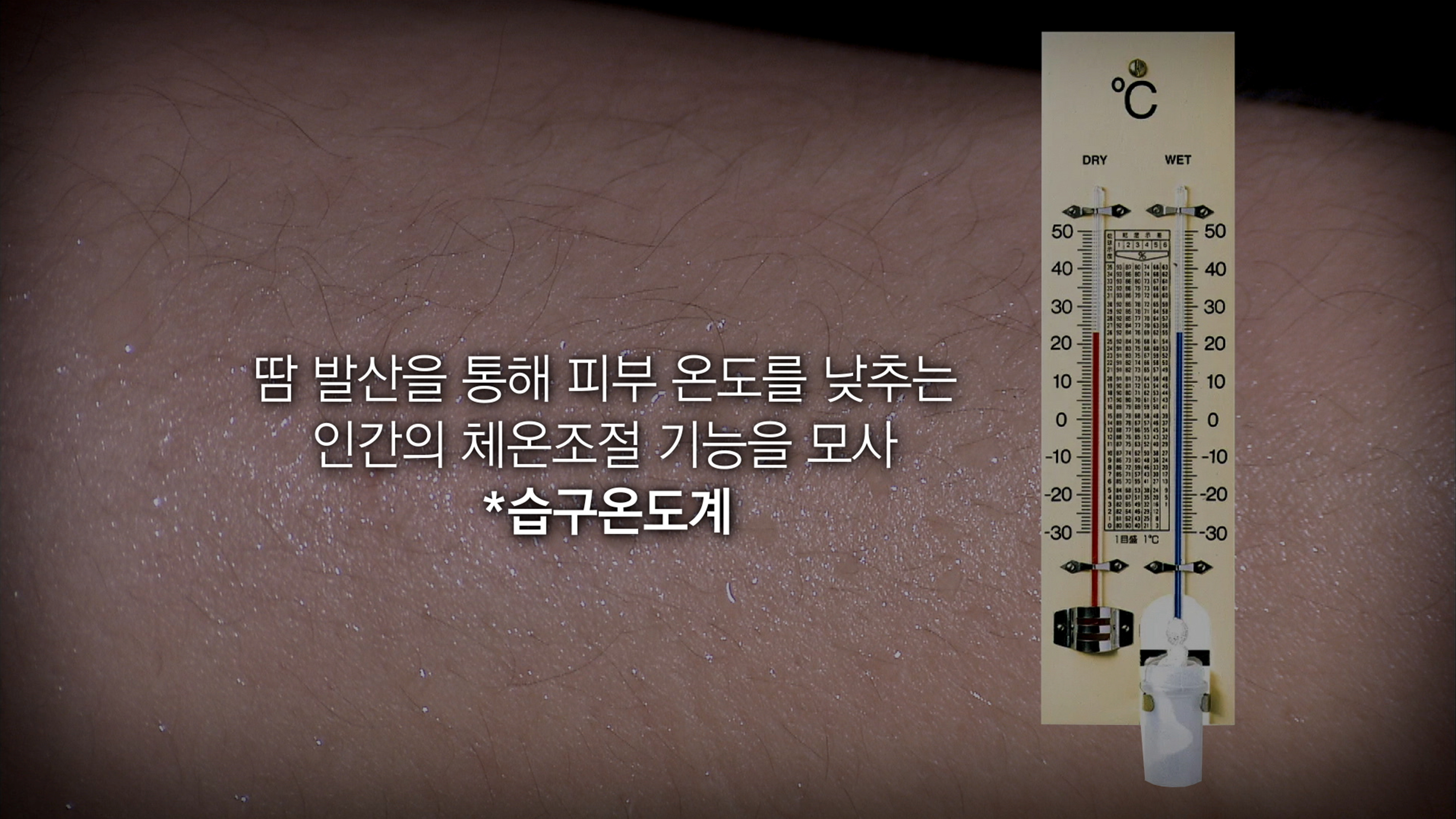 오늘의 TV | 온에어 | 전 국민의 평생학교 EBS 고향민국 [충남의 숨겨진 보석, 청양 4부. 청양의 자연, 명품을 빚다]